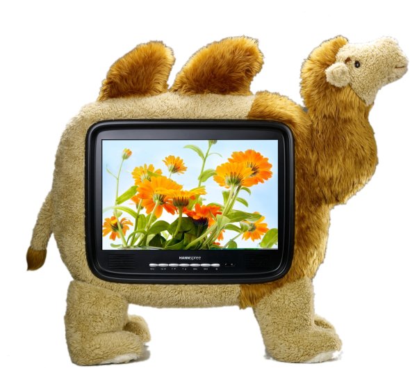 HANNspree Novelty TV Telewizja futerkowa PCFoster.pl